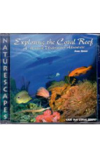 9991452281_1730803136