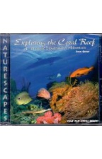 9991452281_1730803136