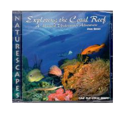 9991452281_1730803136