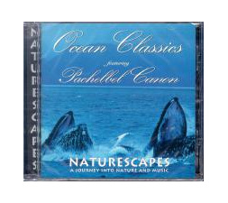 9991453245_1247348679