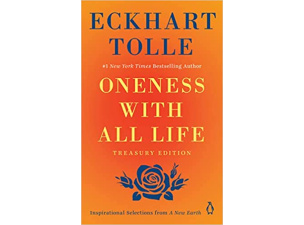 0452296080_1442565785